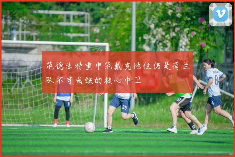 范德法特重申范戴克地位仍是荷兰队不可或缺的核心中卫